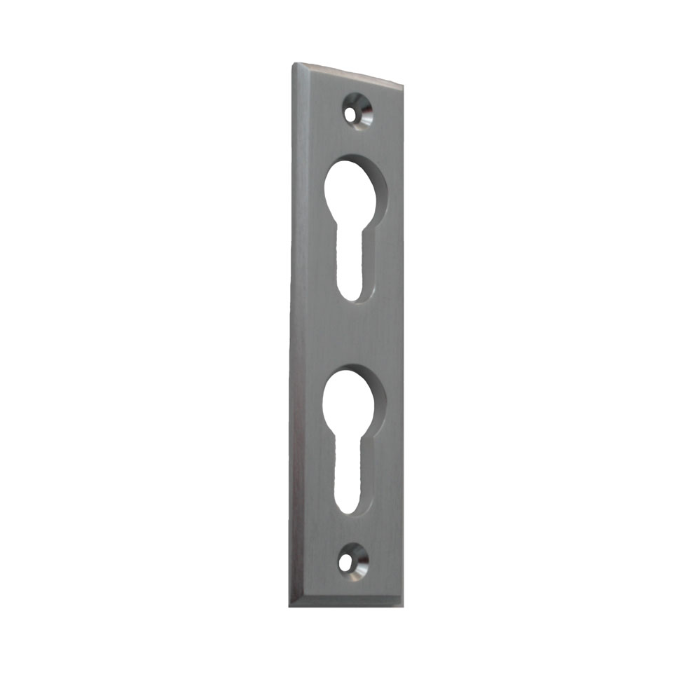 Spezial-Anschraubrosette mit 2 PZ-Löchern übereinander / F1-eloxiert /Abmessung: 120x30x5mm
