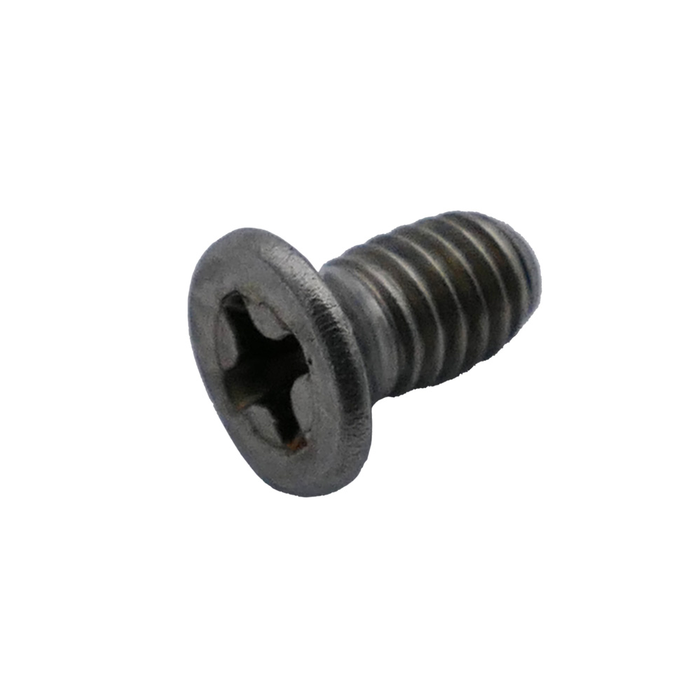 Kreuzschlitz-Schräubchen zur Befestigung von elektr. Türöffnern / 4 x 8mm / EDELSTAHL Kreuzschlitz-Schräubchen zur Befestigung von elektr. Türöffnern / 4 x 8mm / EDELSTAHL